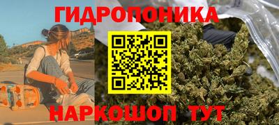 индика Ливны