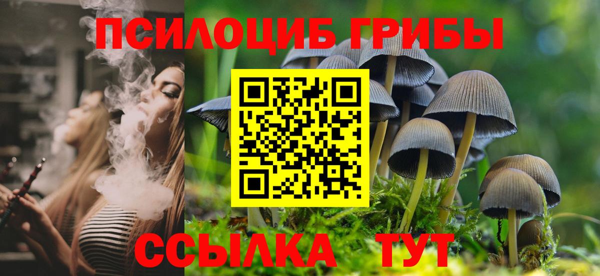 Псилоцибиновые грибы мицелий Туймазы