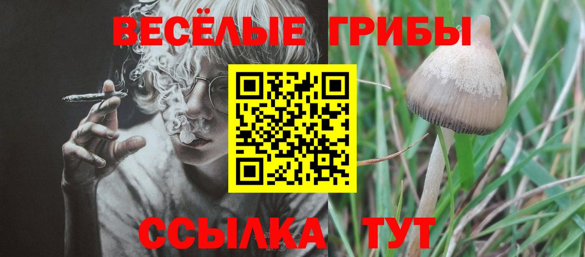 купить  сайты  Галлюциногенные грибы мухоморы  Вход с VPN  Туймазы 